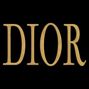 DIOR Logo Embroidered ADULT Unisex Crewneck Sweatshirt GOLD Font